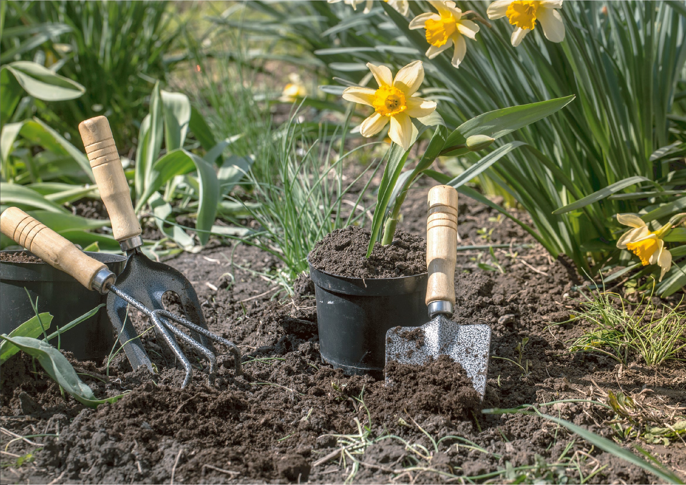 Summer Composting Strategies: Managing Heat and Moisture