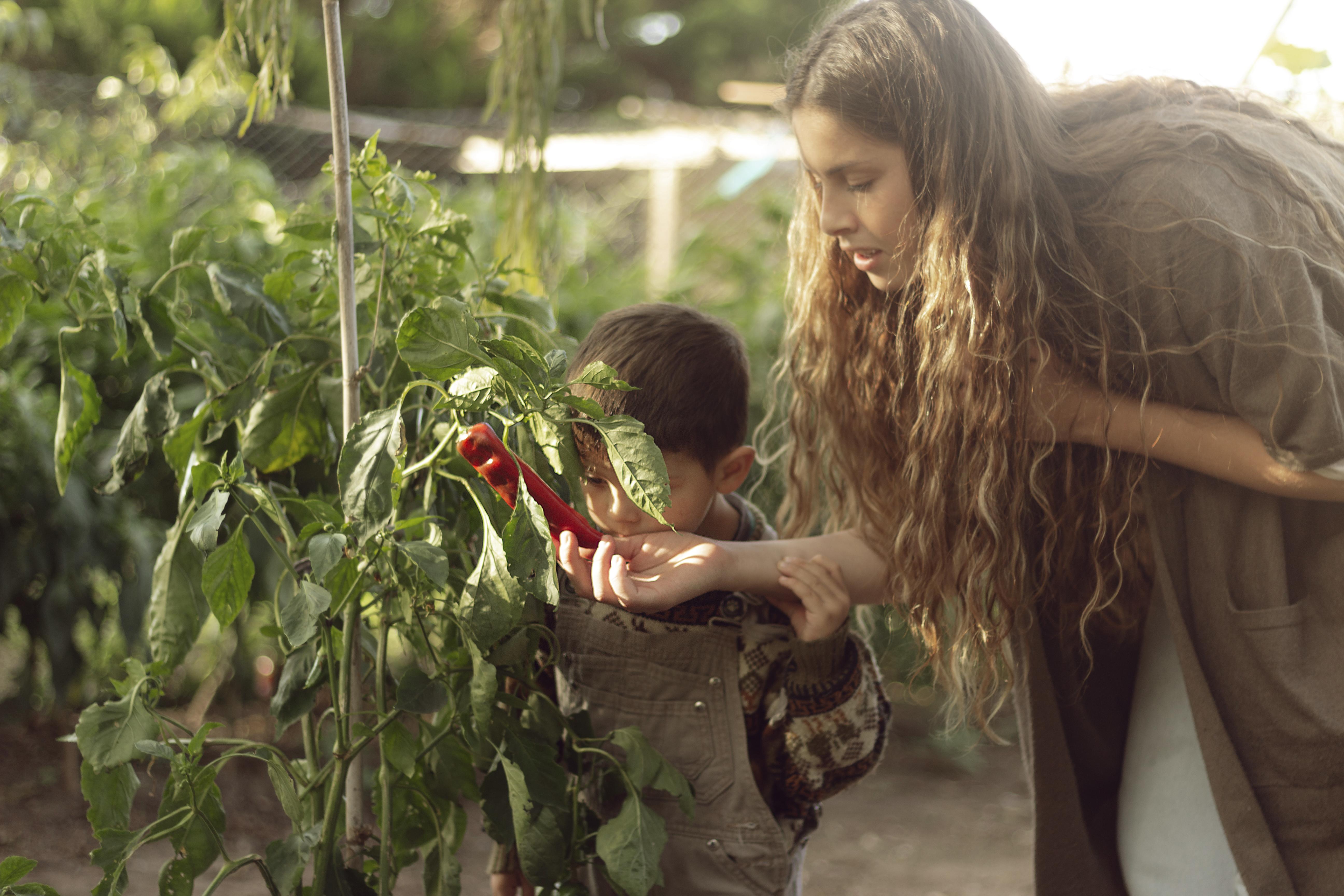 7 Best Gifts for a Gardener Mom