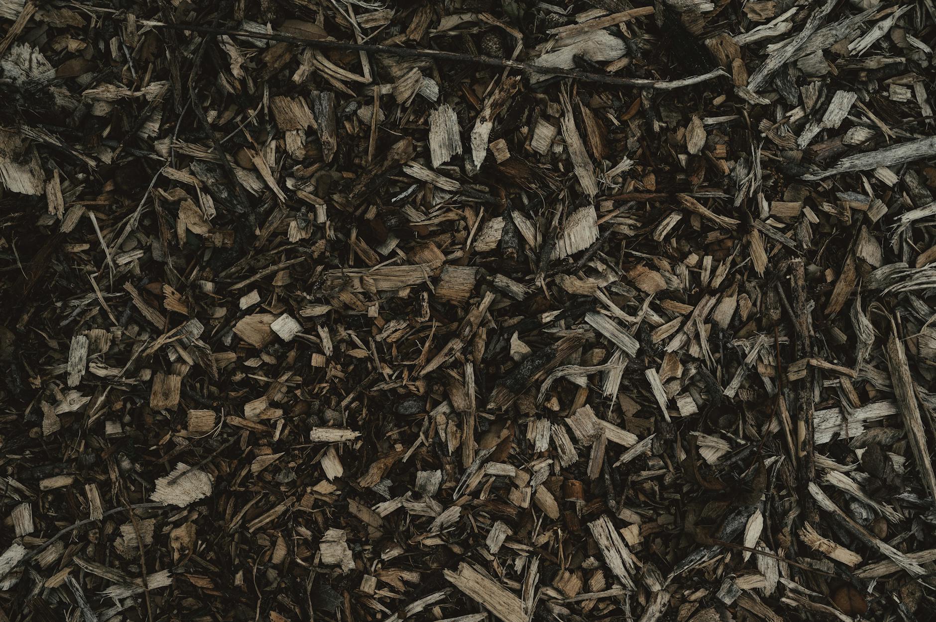 Best Things to Add to Compost in Summer