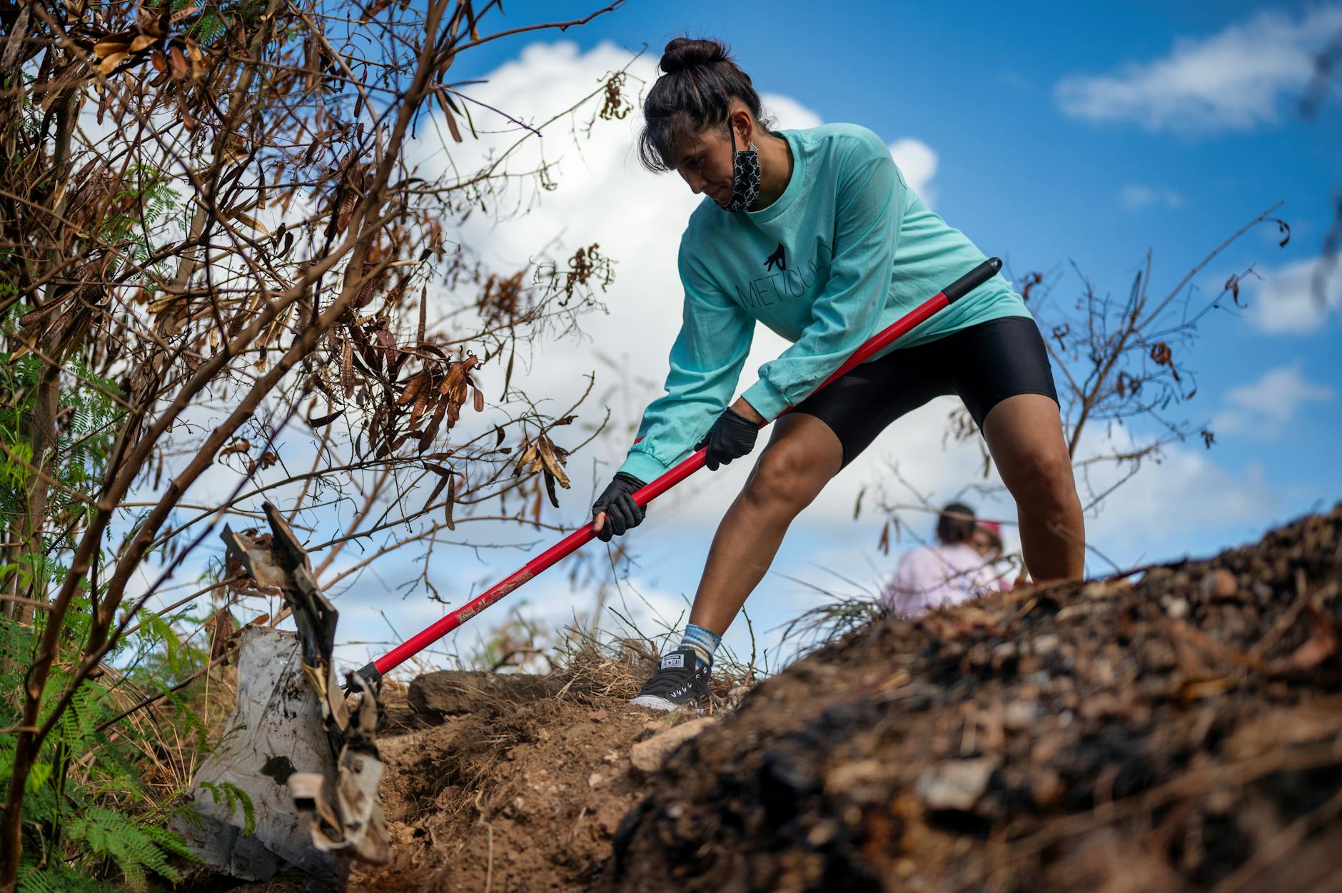 How to Restore Soil After Summer Harvest: A Complete Recovery Guide