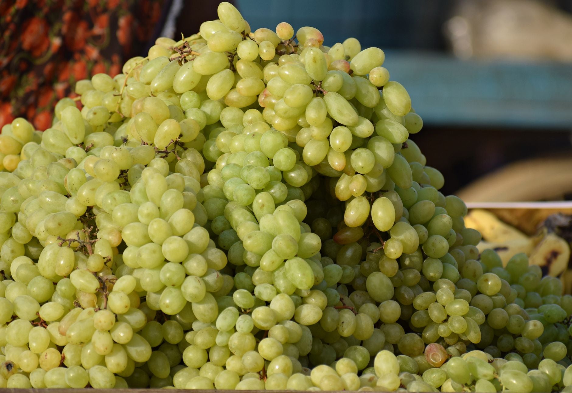 How Long Do Grapes Last in the Fridge? (And How to Keep Them Fresh)