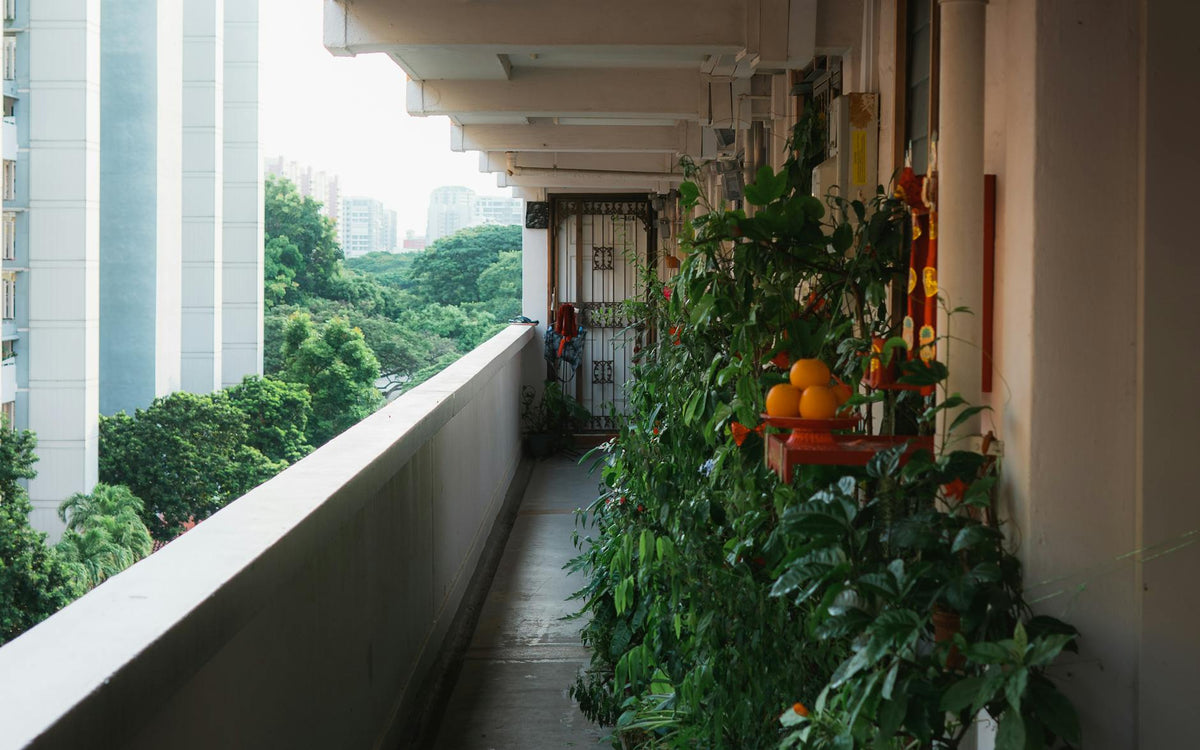 How Do I Start a Vegetable Garden on an Apartment Balcony or Small Patio?