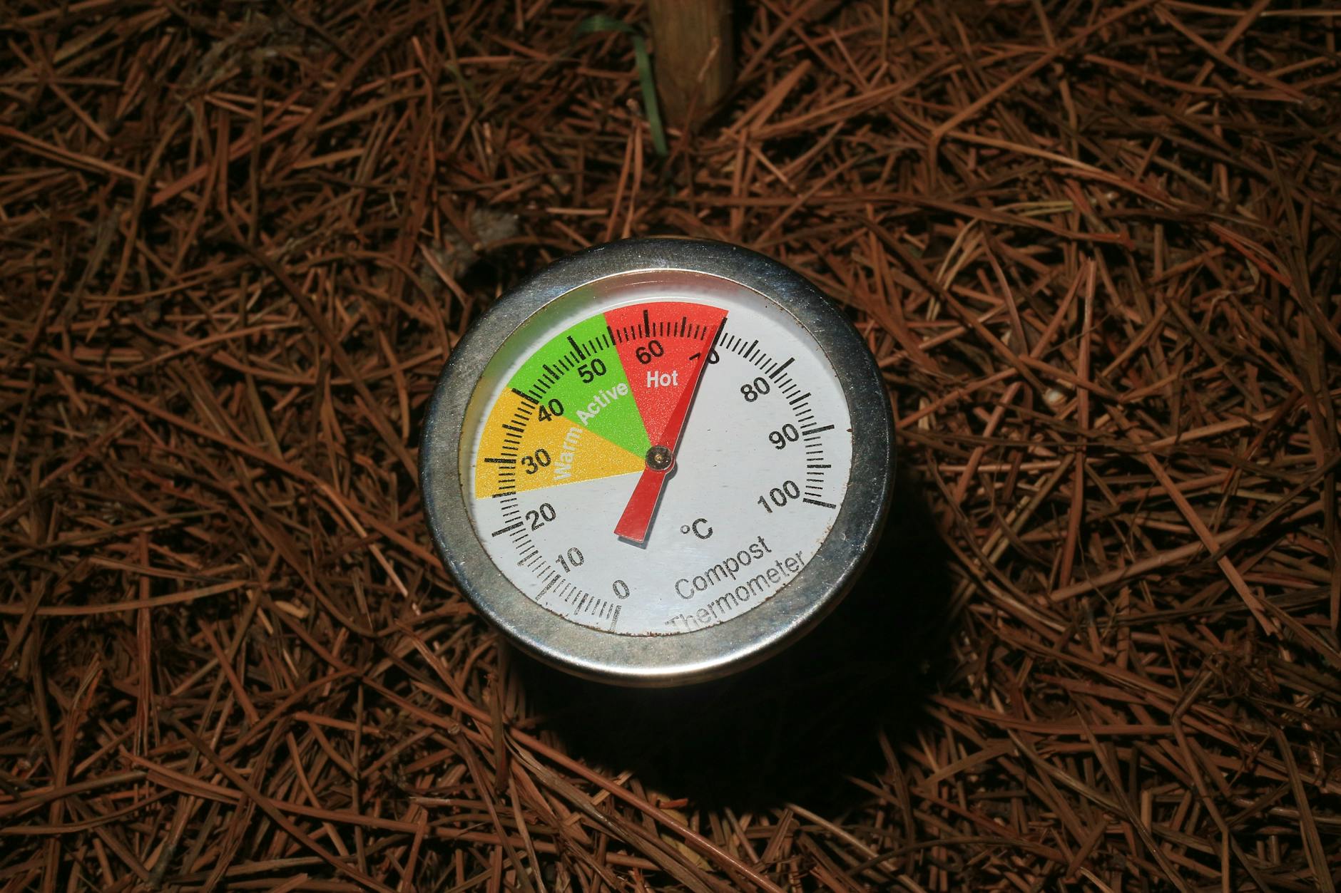 5 Proven Ways to Speed Up Composting