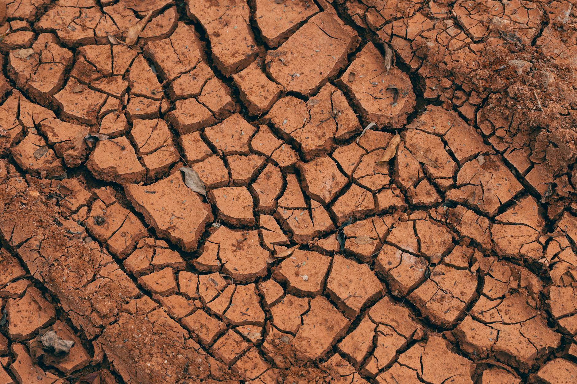 Rainy Season Compost Bin Management: Handling Rain Infiltration and Excess Moisture