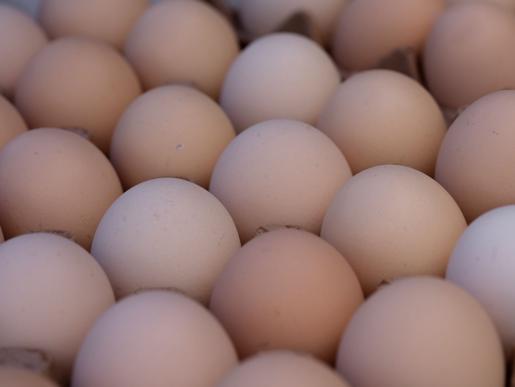 Can You Freeze Eggs? (Whole, Whites, Yolks & How To)