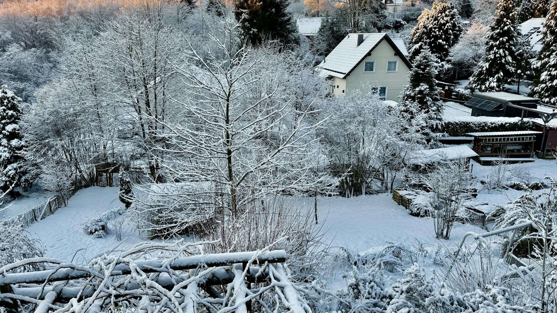 Zone 7b Winter Gardening Guide: December Through February