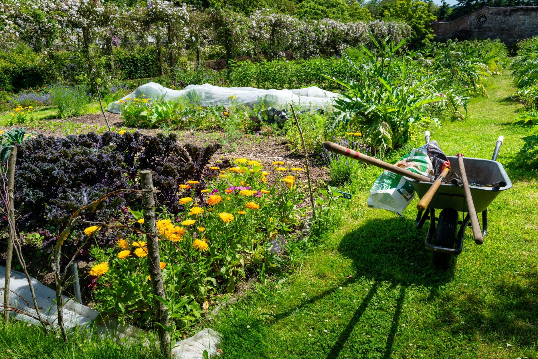 How to Choose the Right Composter for Your Home