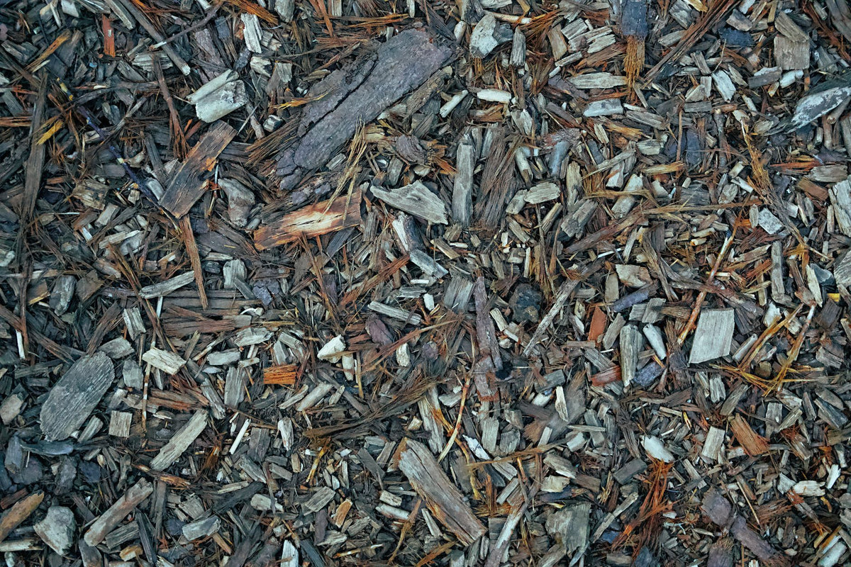 Sheet Mulching (Lasagna Gardening)