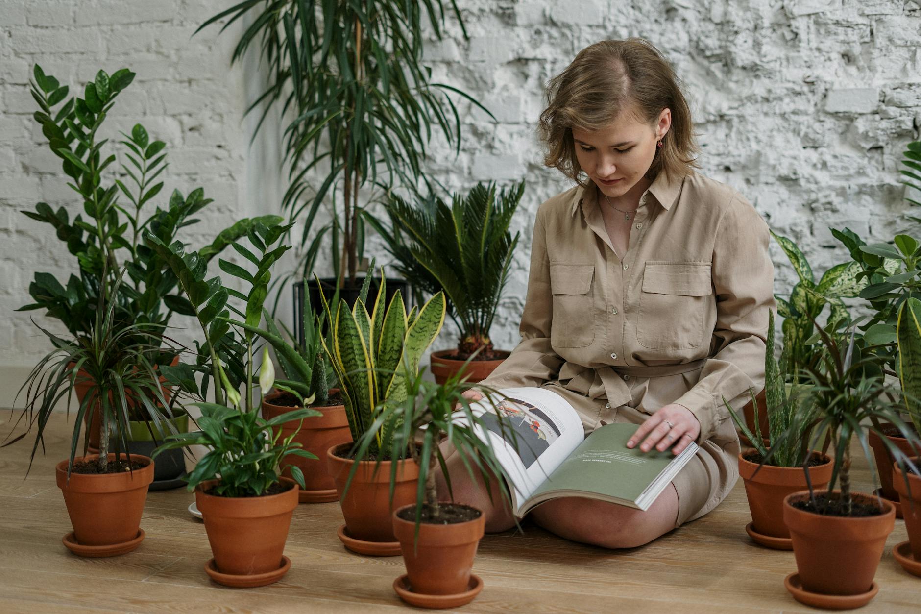 Using Compost for Houseplants: Which Plants Benefit and How to Apply