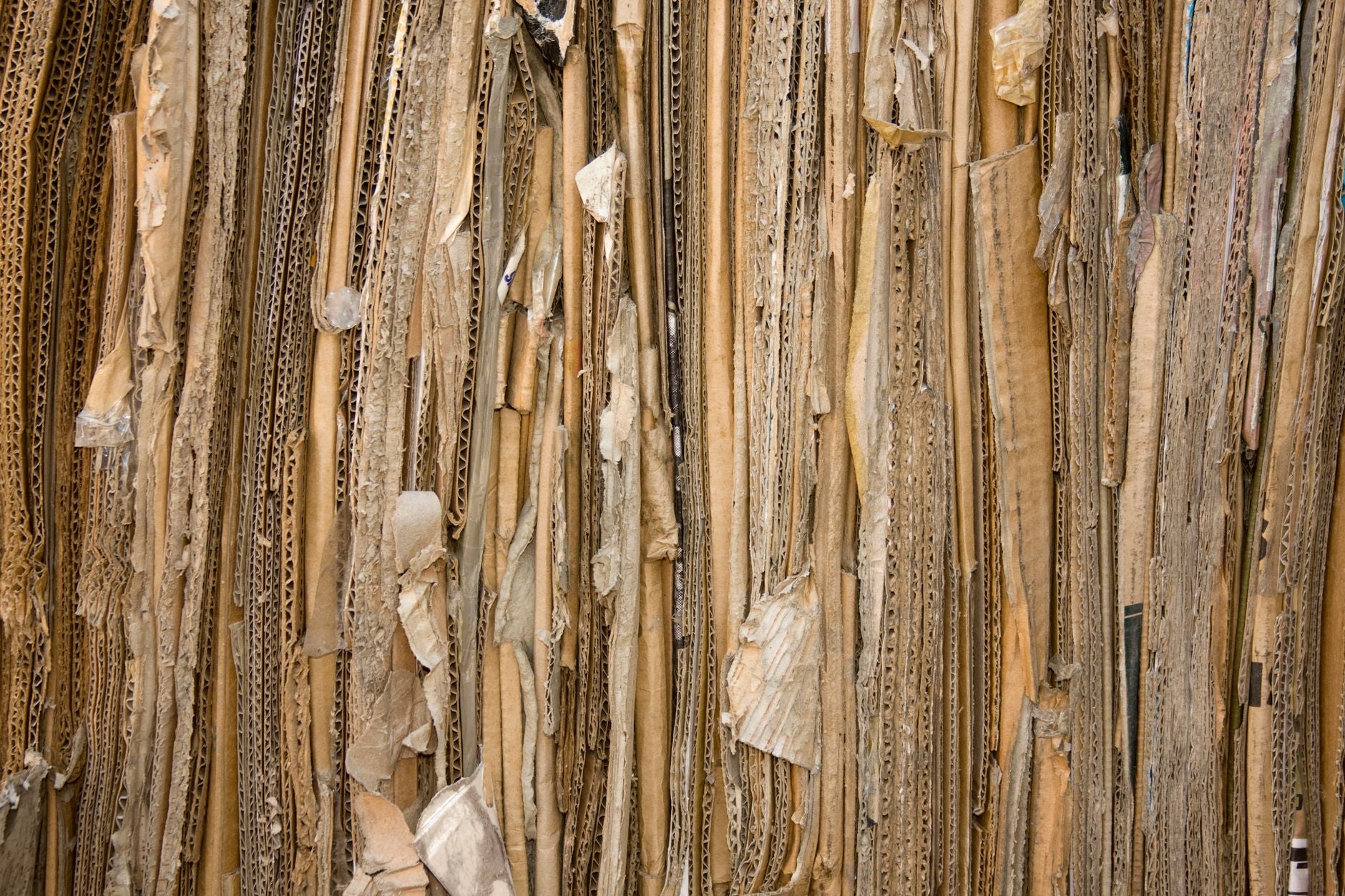 Can You Compost Cardboard Boxes? (Which Types Work)