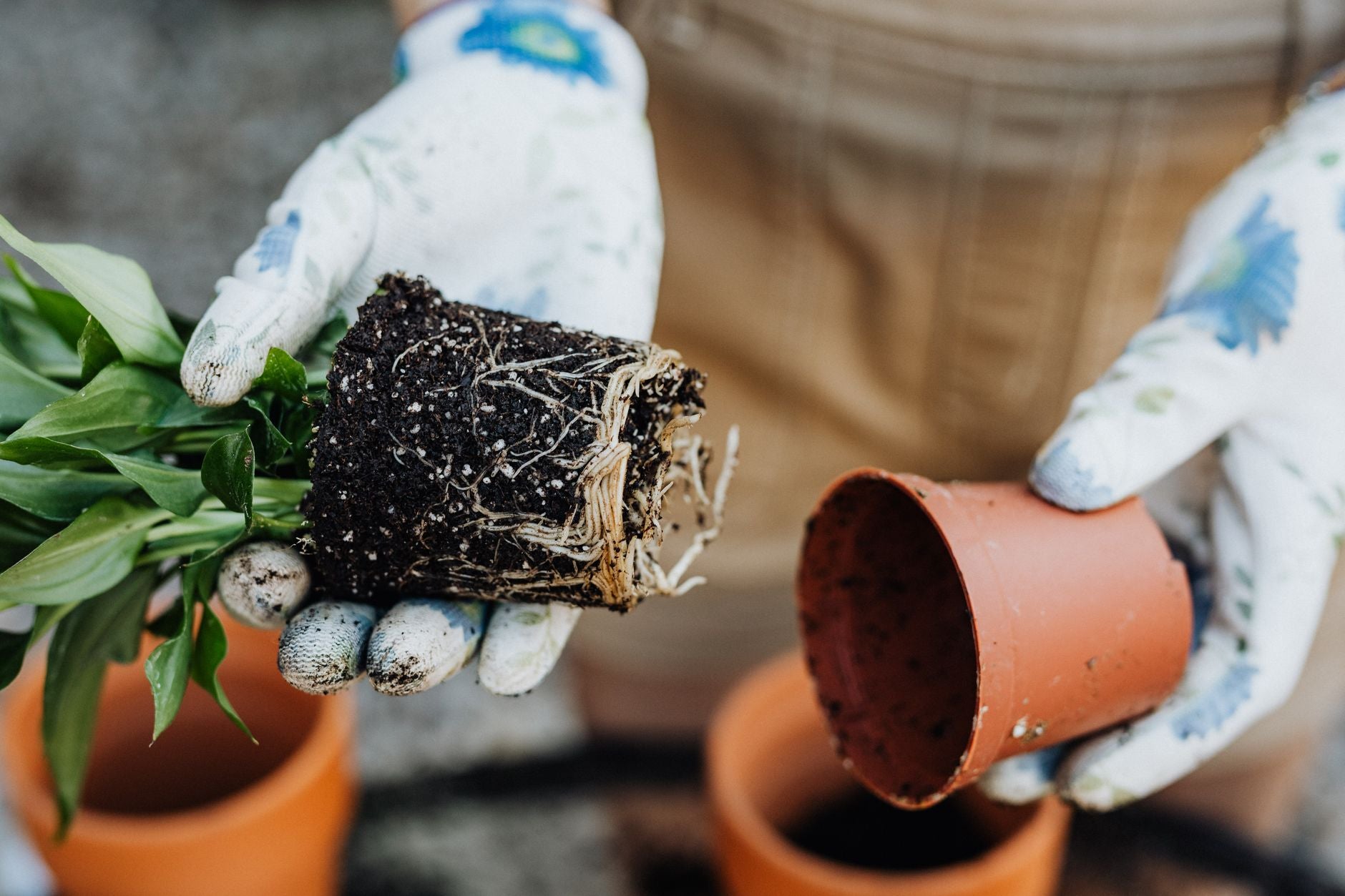 How to Make Compost at Home: 5 Methods