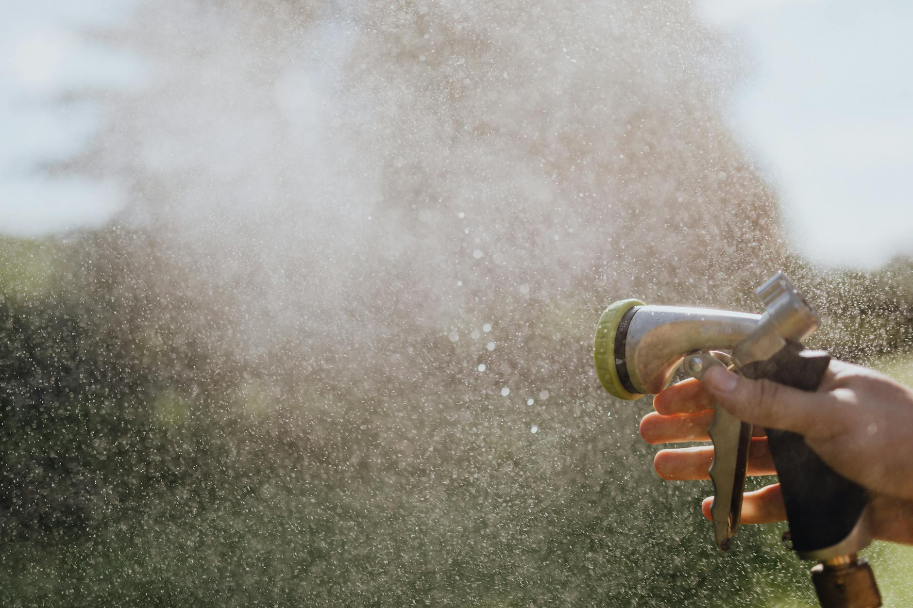 How to Manage Your Compost Bin in Hot Summer Weather