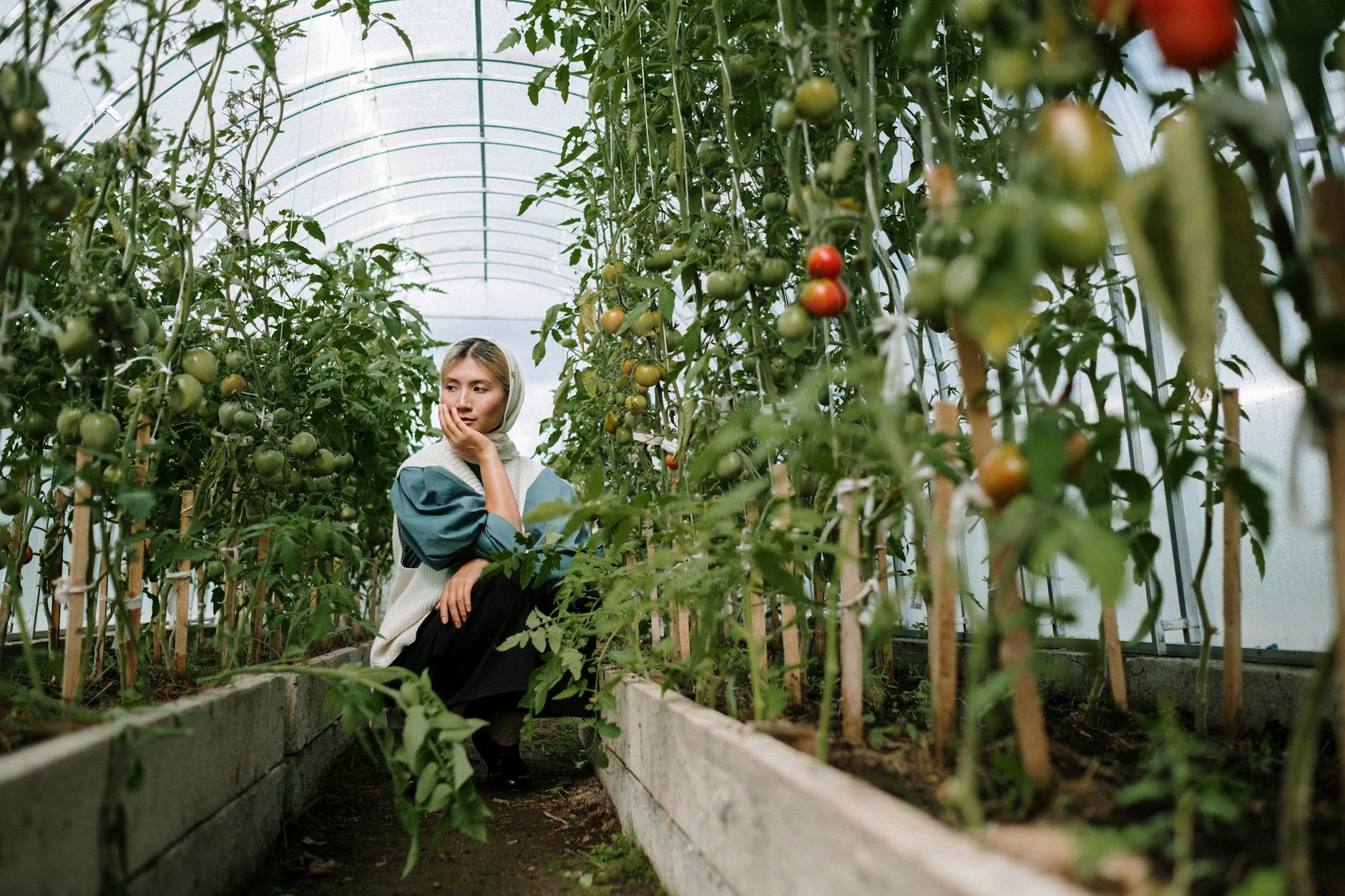 Zone 10 Summer Planting Guide: What to Grow June Through September