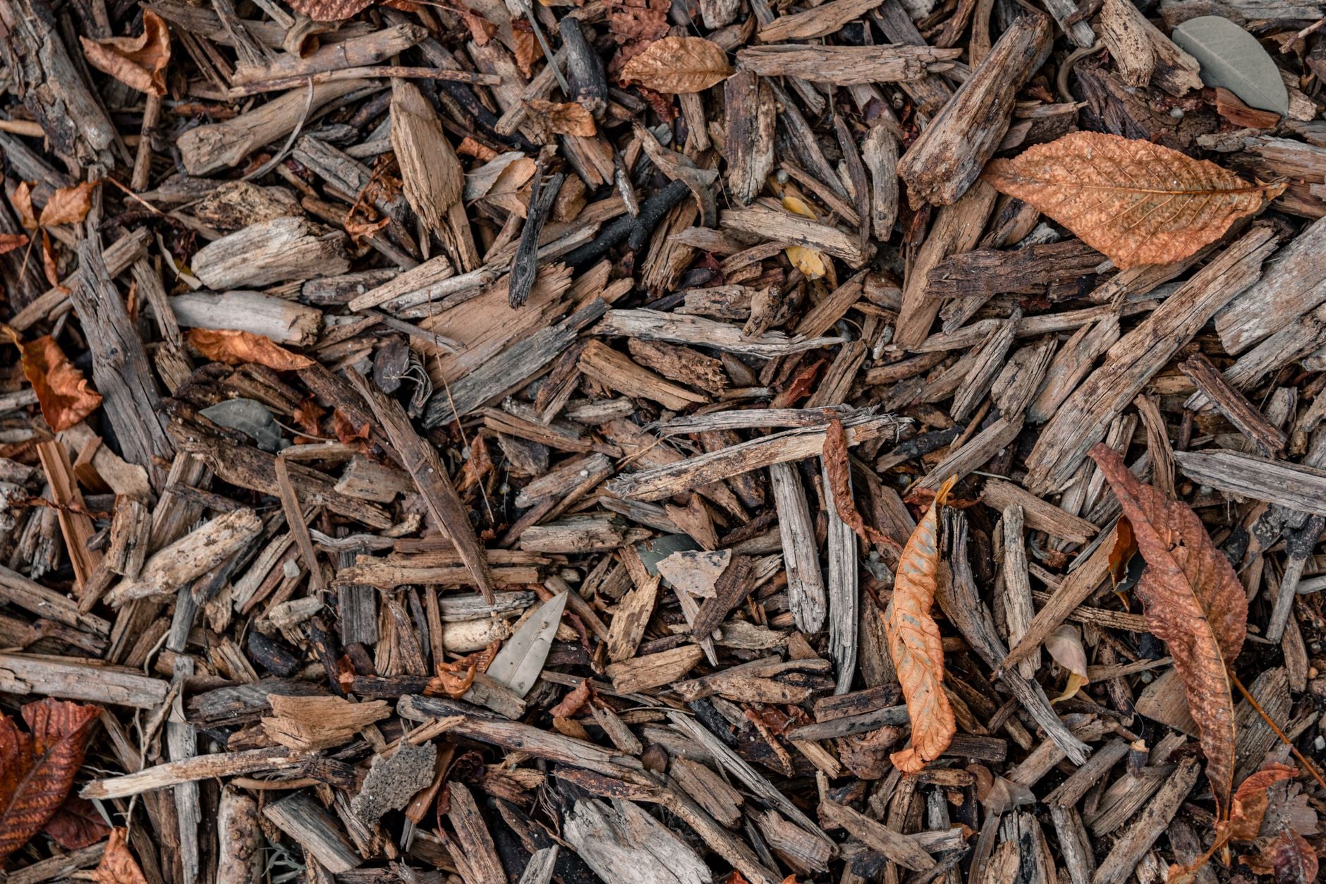 What Are Compost Activators? (Do They Actually Work?)