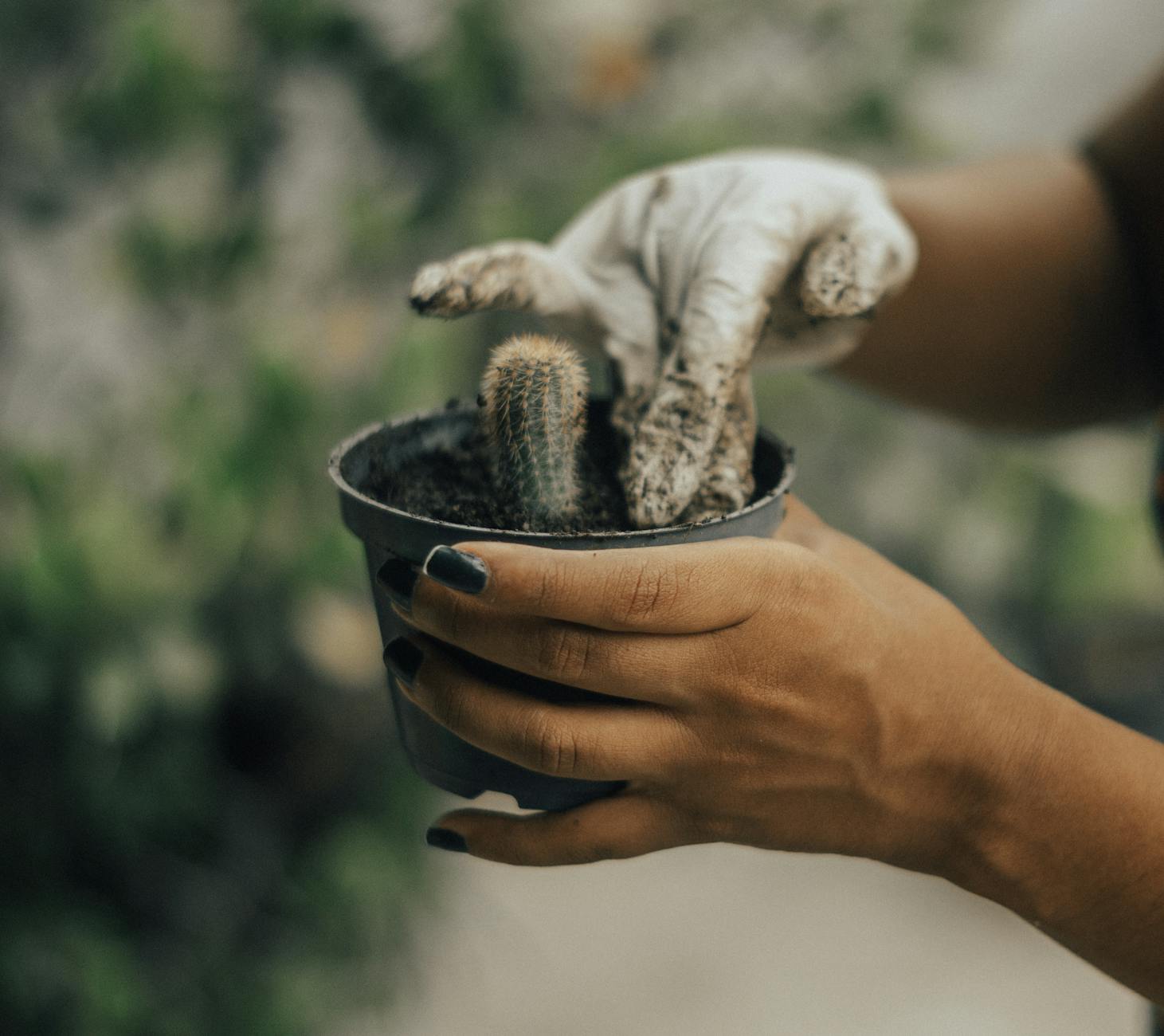 Is Compost Actually Better Than Chemical Fertilizer? A Science-Based Comparison