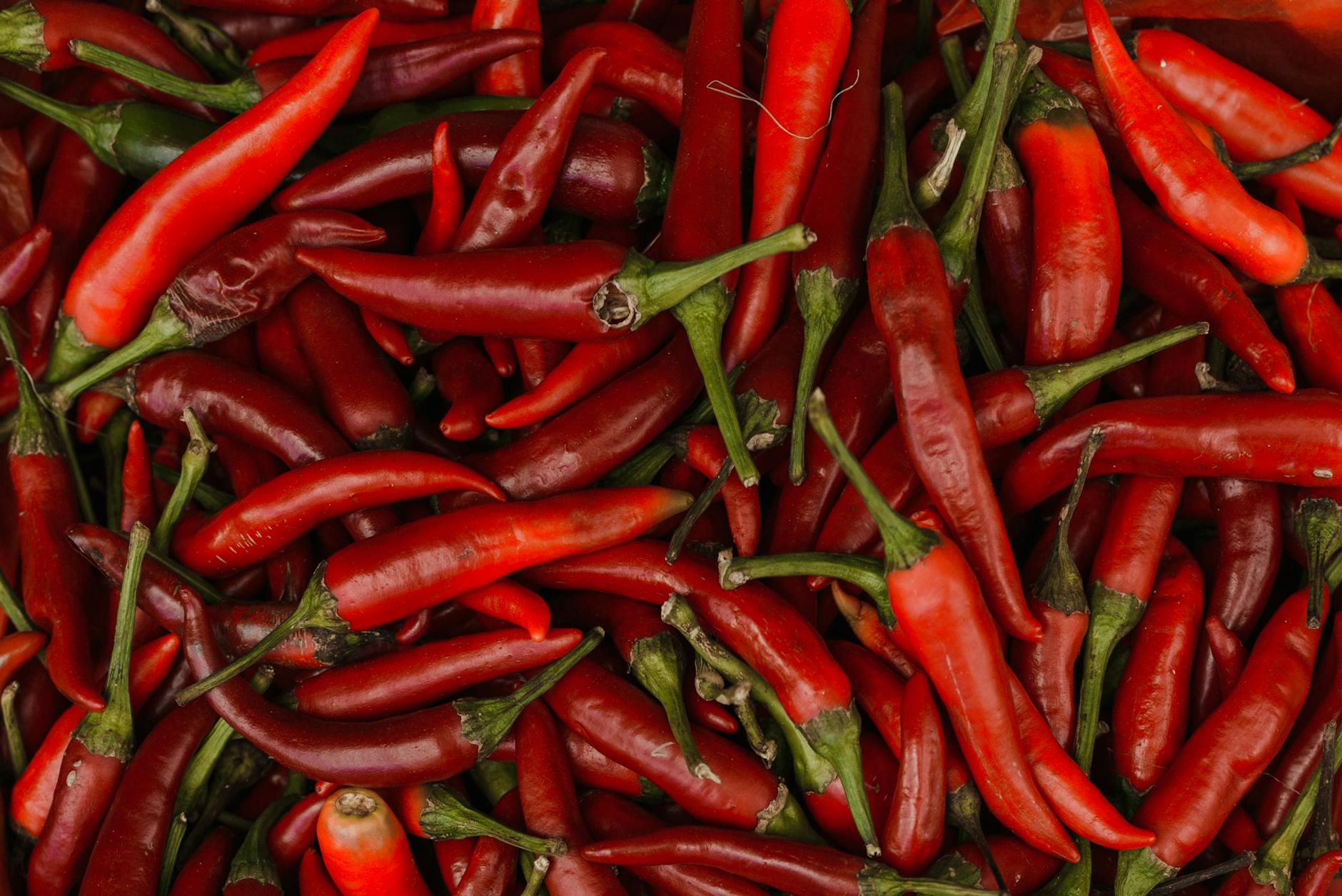 How Often Should I Water My Vegetable Garden During a Heat Wave?