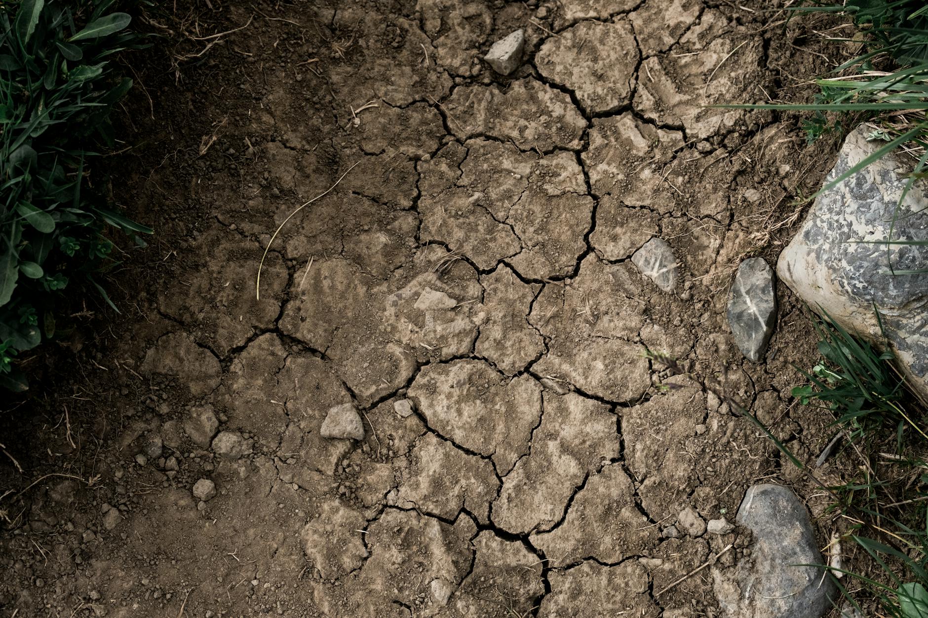 Using Compost to Recover Soil Moisture After a Heatwave