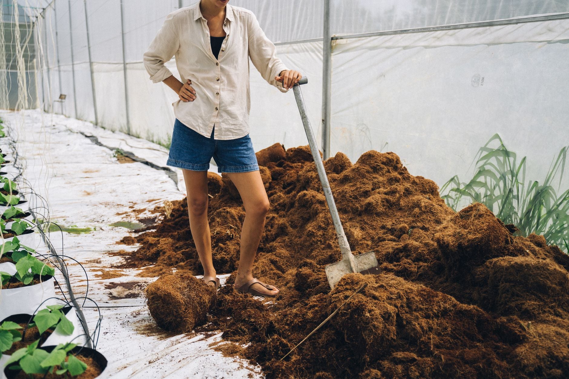 What Does Finished Compost Look Like?
