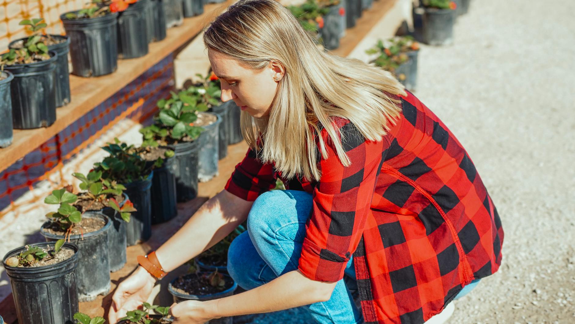 Top 20 Most Frequently Asked Questions for Beginner Composters: Complete Answers