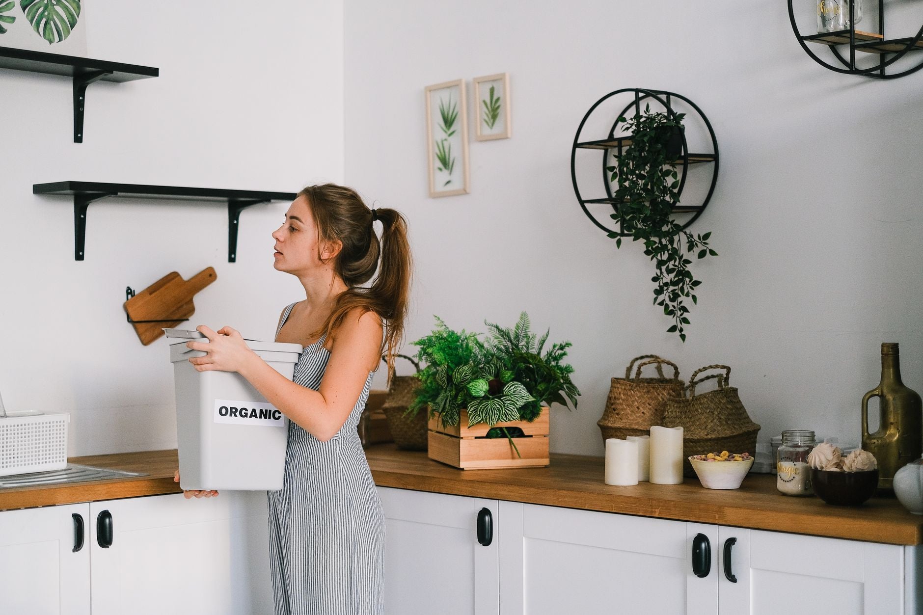 Best Countertop Compost Bin (2026): Electric vs. Collector Crocks