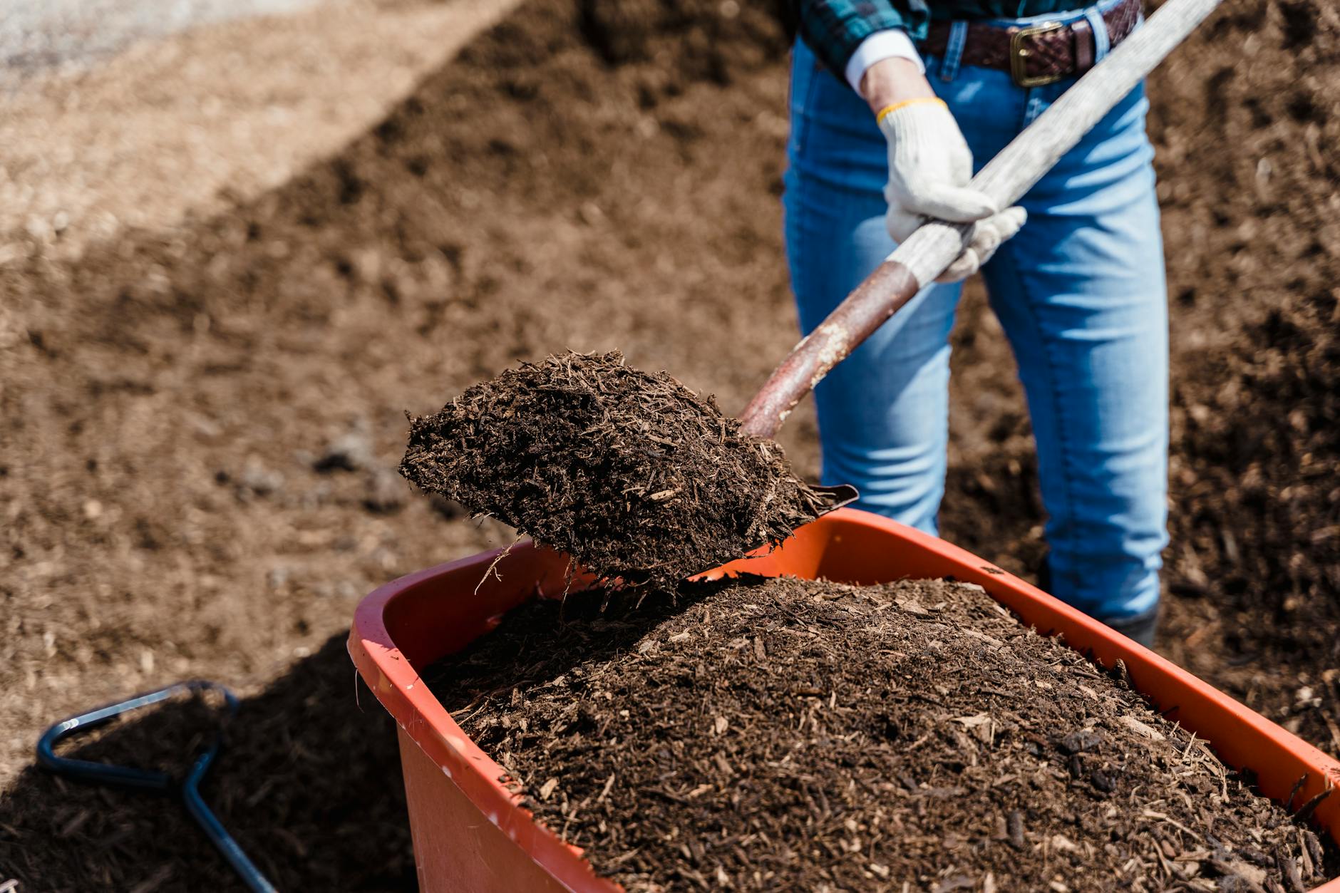 Can You Add Too Much Compost to a Garden? How Much Is Too Much?