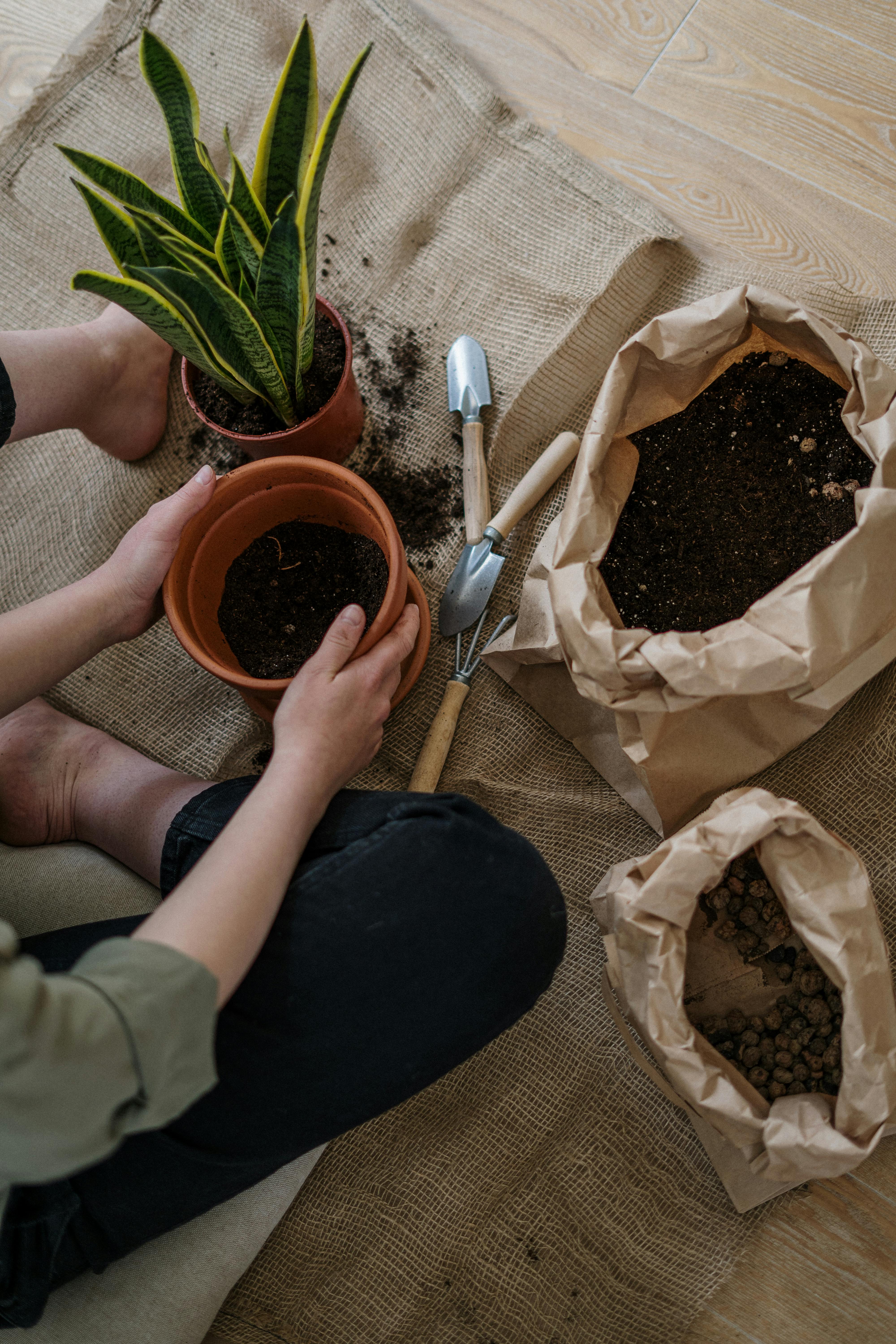 What Is the Difference Between Vermicomposting and Regular Composting?