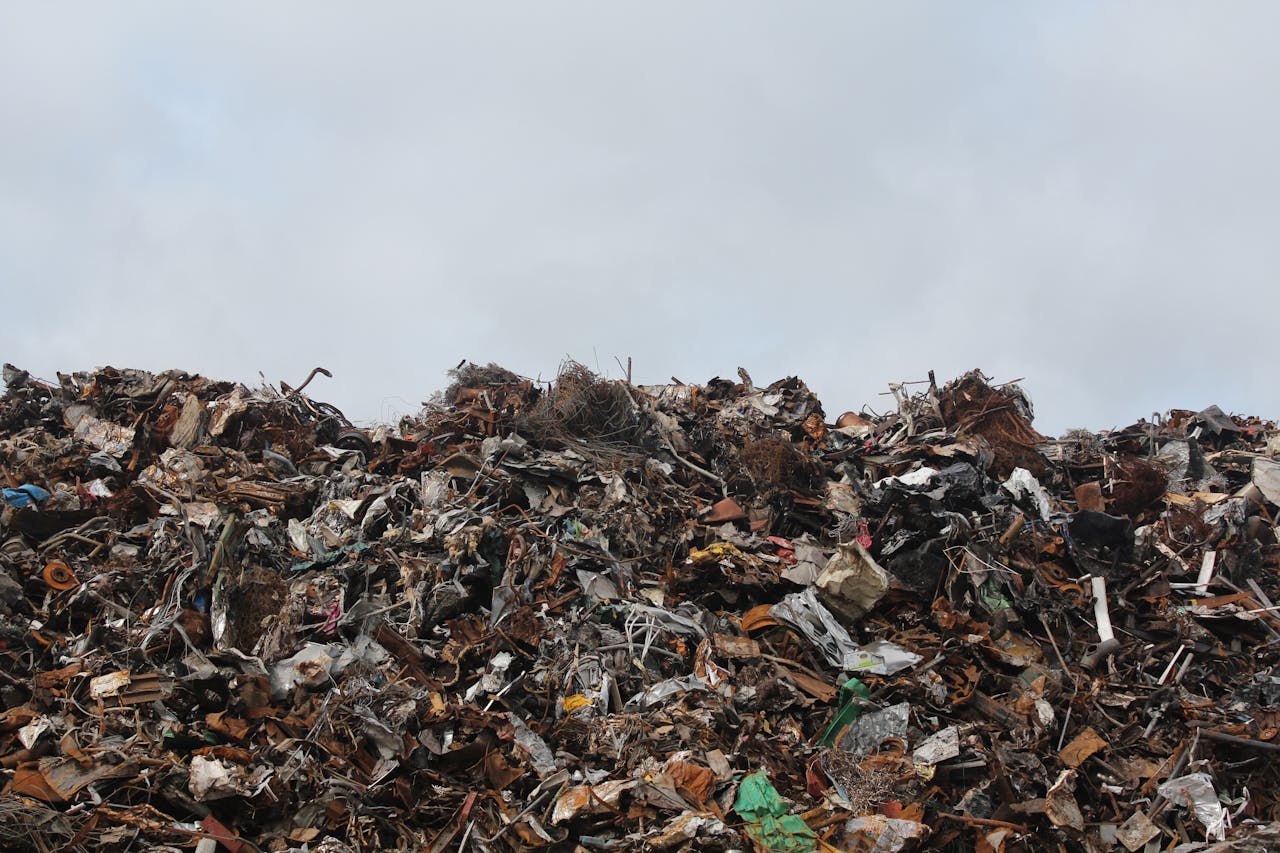 Food Waste: A Simpler Path to Understanding It