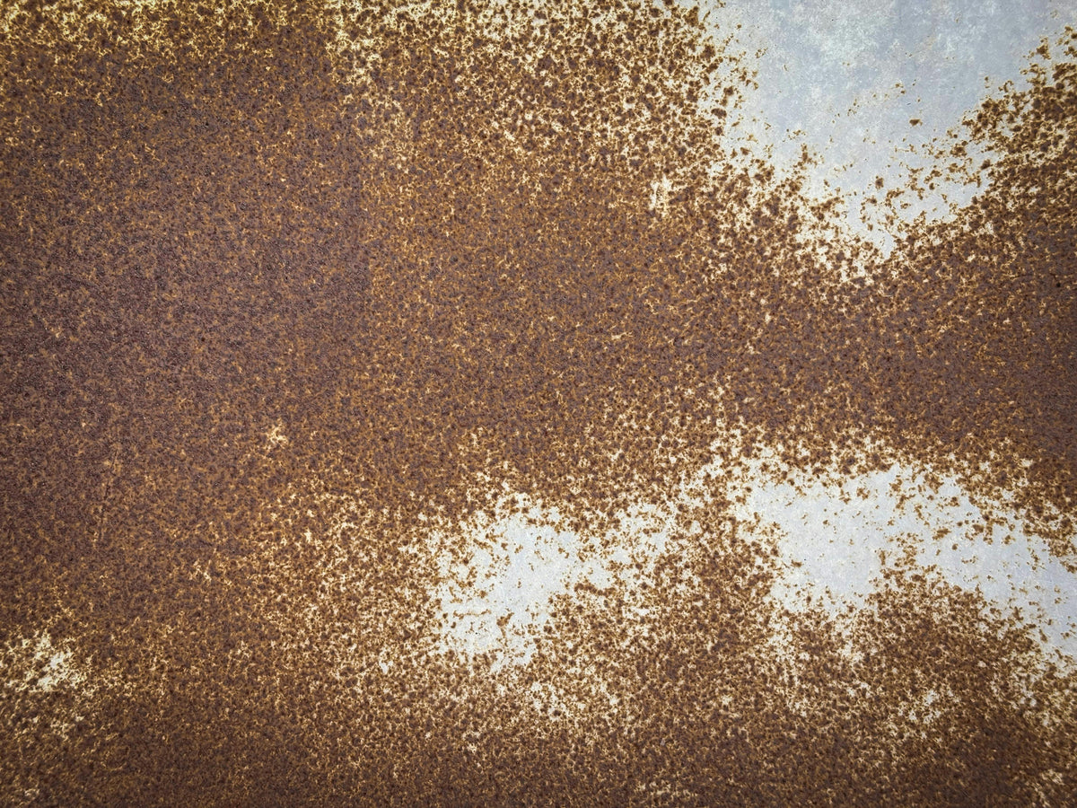 What Is the Best Soil Mix Ratio for a Raised Garden Bed?