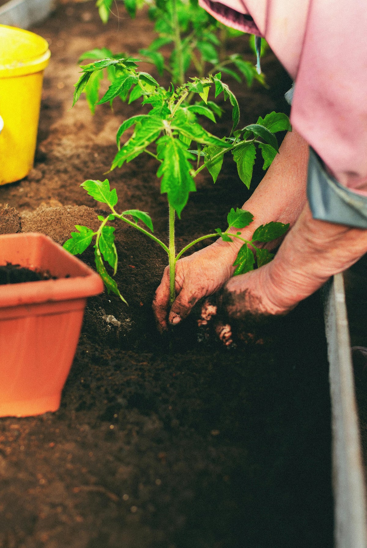 Best Compost Bins for Every Situation (2026 Guide)