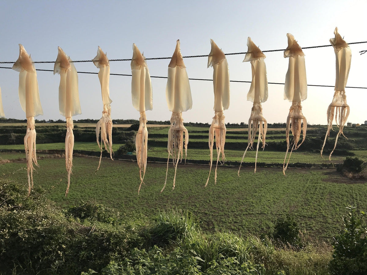 Can I Compost Squid? A Complete Guide