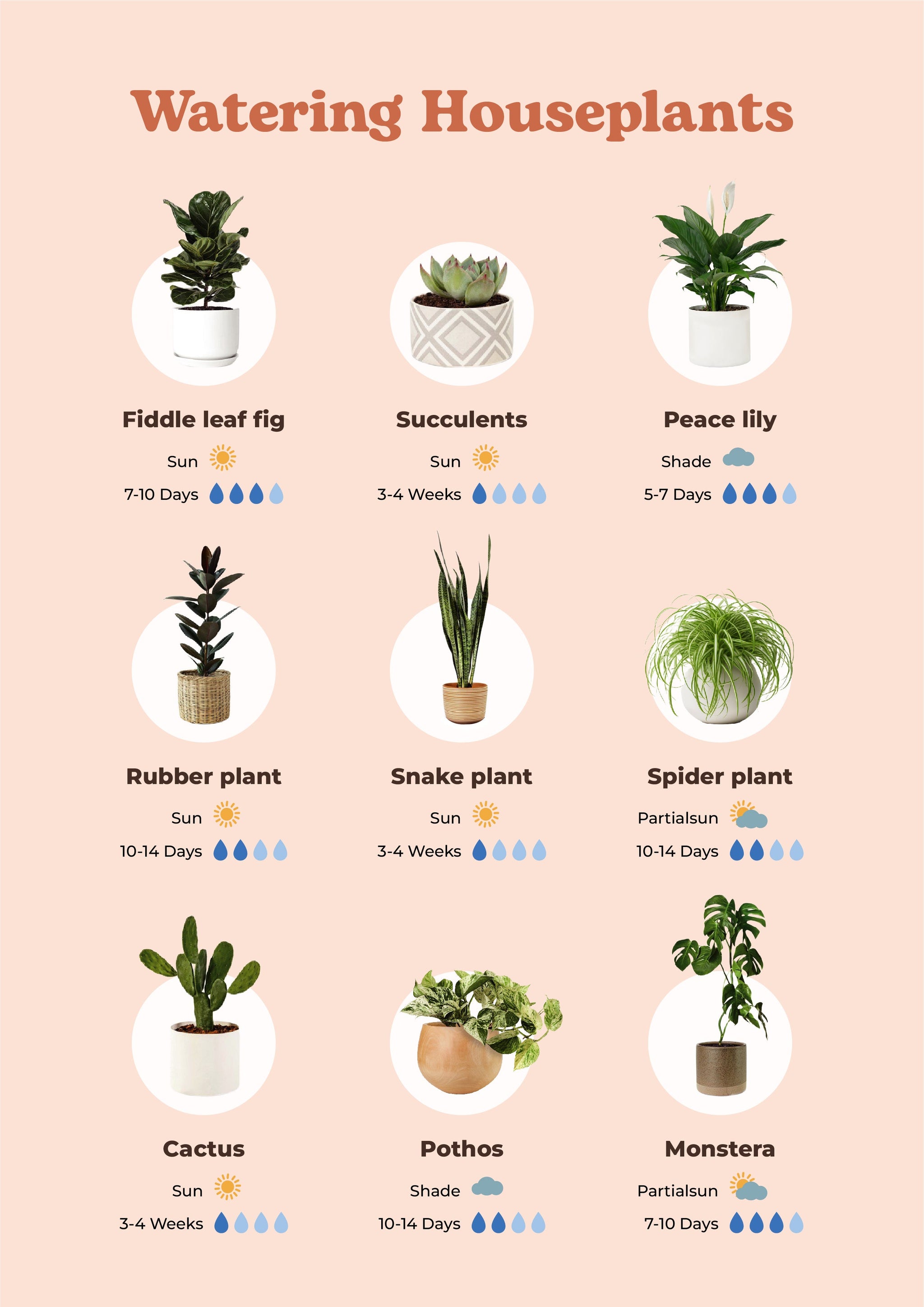 Factors that change how often you water