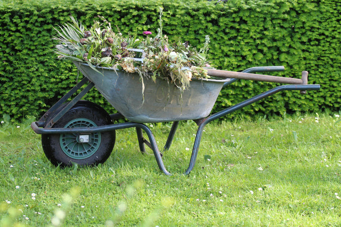 What is Composting? Your Complete Beginner's Guide