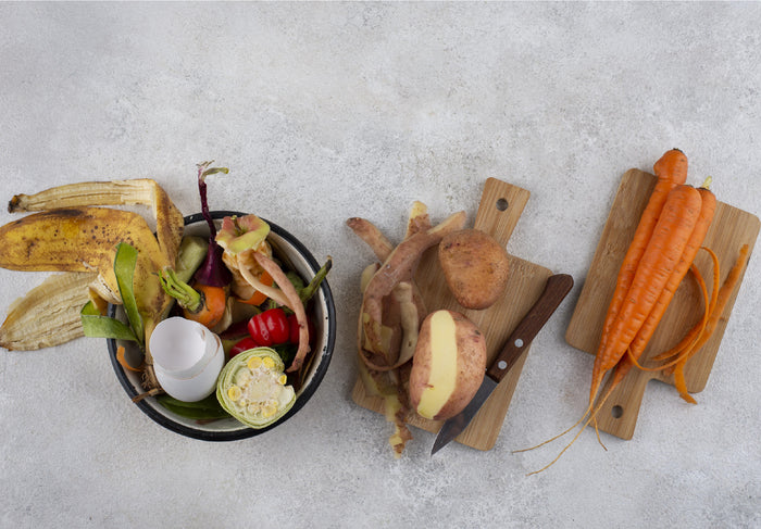 Best Home Composters of 2024 Compared