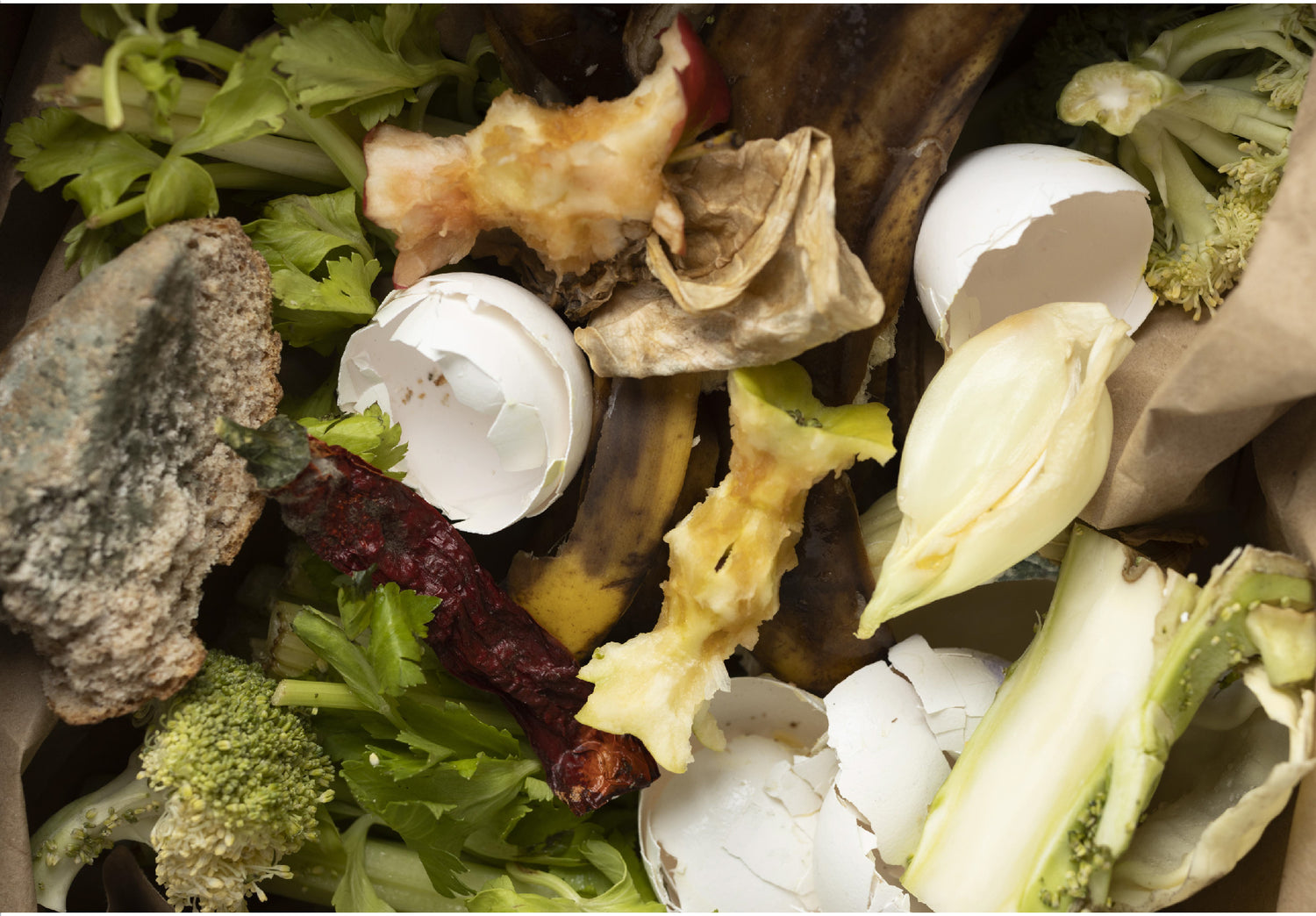 Managing Indoor Composting Challenges