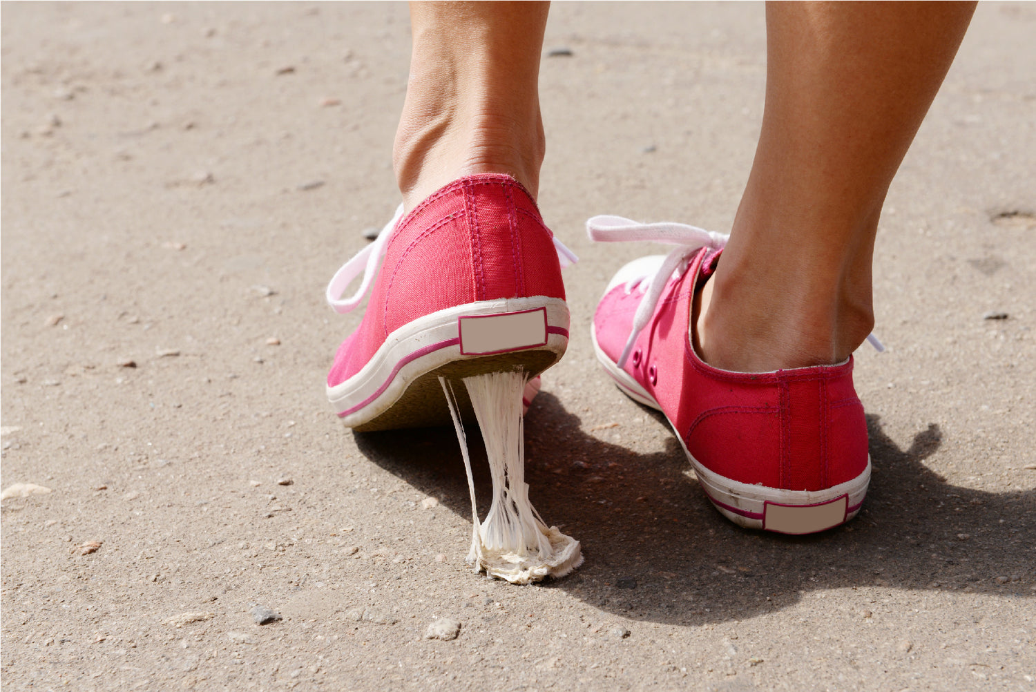 Is Chewing Gum Biodegradable?