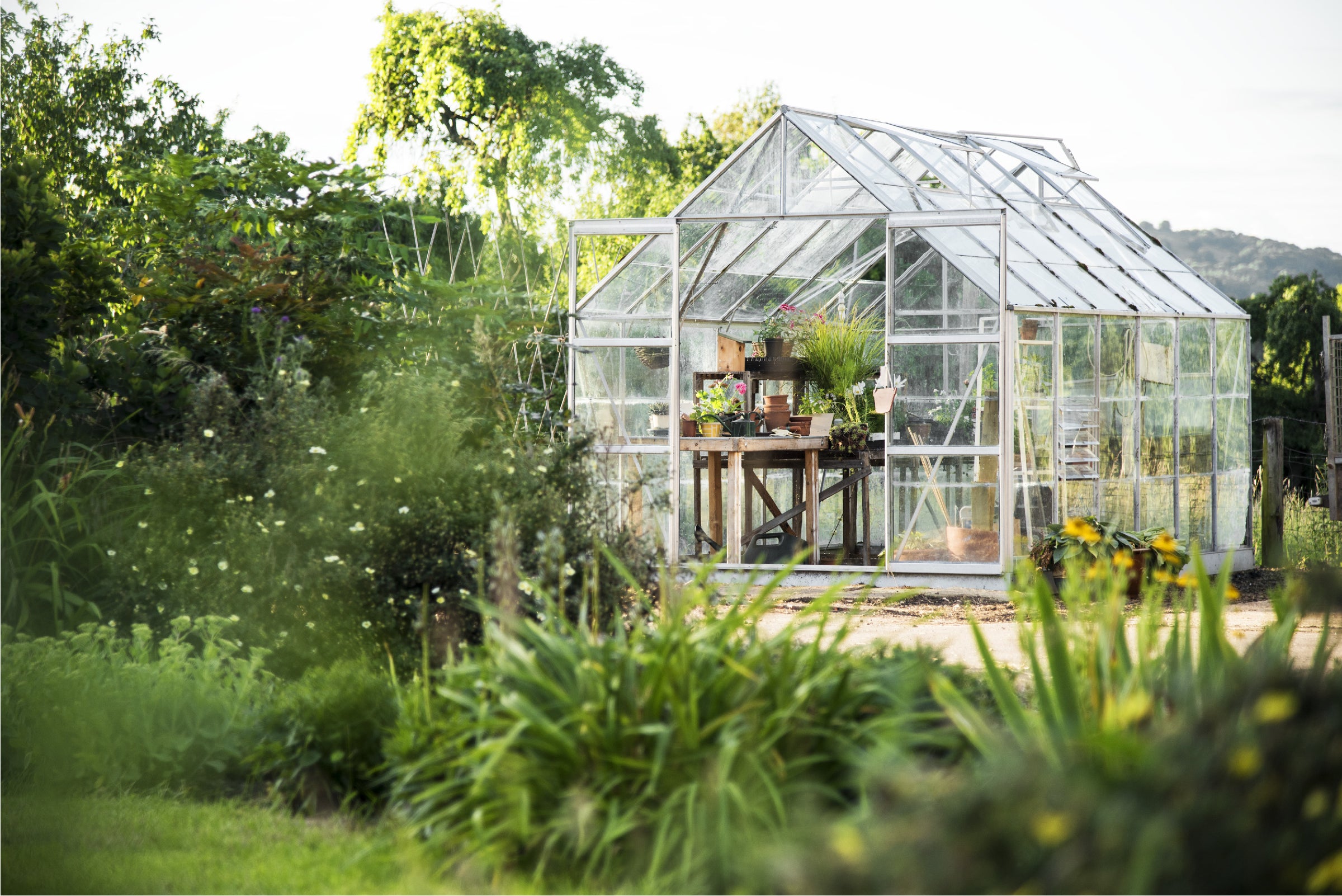 The Best Plants to Plant in April for a Beautiful Garden