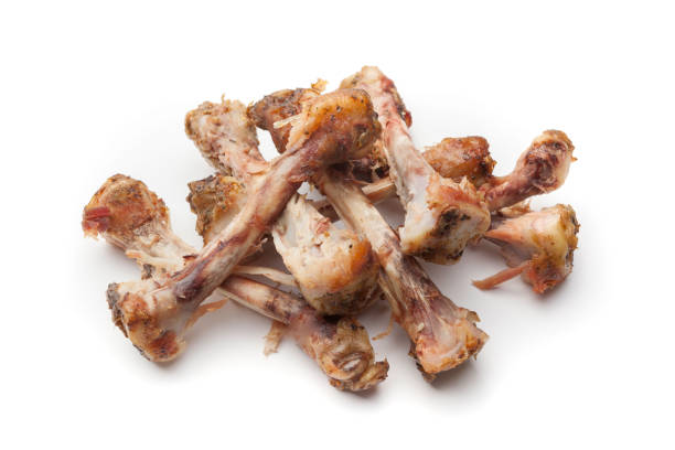 Can i Compost Bones? A Comprehensive Guide