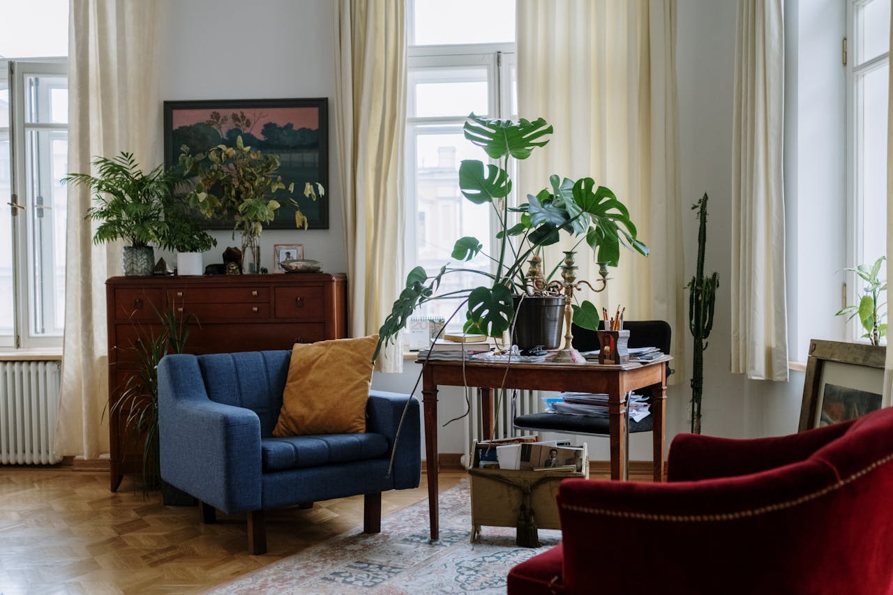 How to Care for Monstera: Essential Tips
