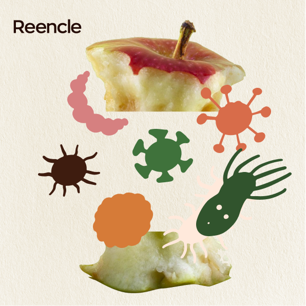 Exploring the Tiny Titans of Soil Health: Microorganisms and Their Pivotal Roles