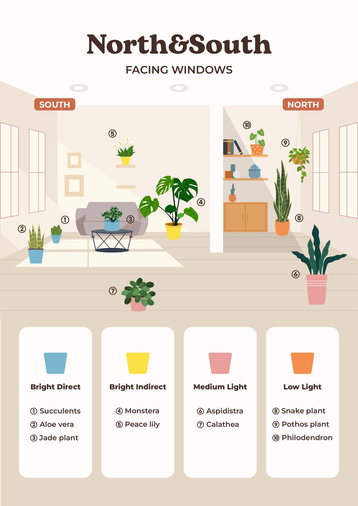 Learn How to Illuminate and Care for Indoor Plants