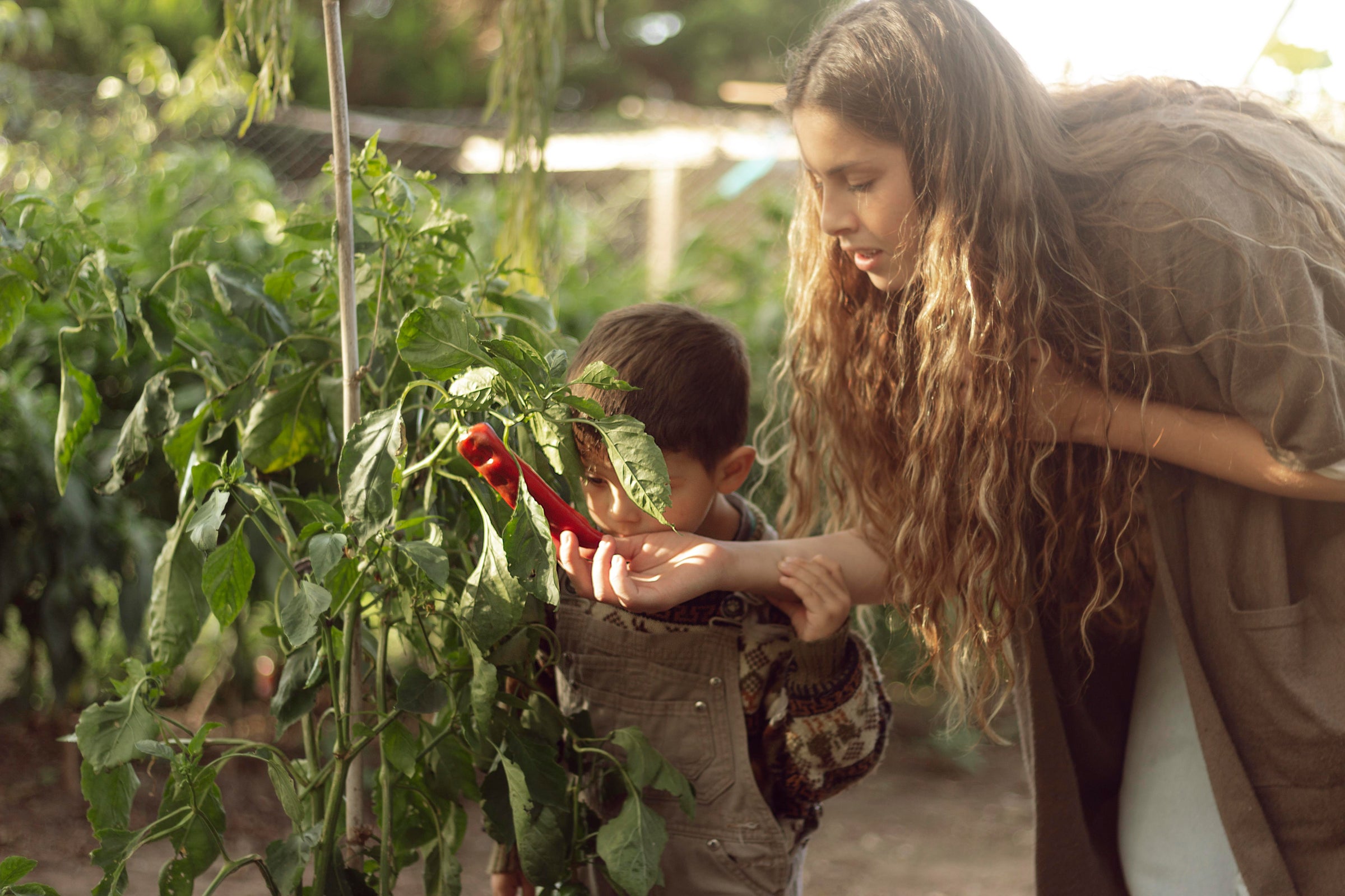7 Best Gifts for a Gardener Mom