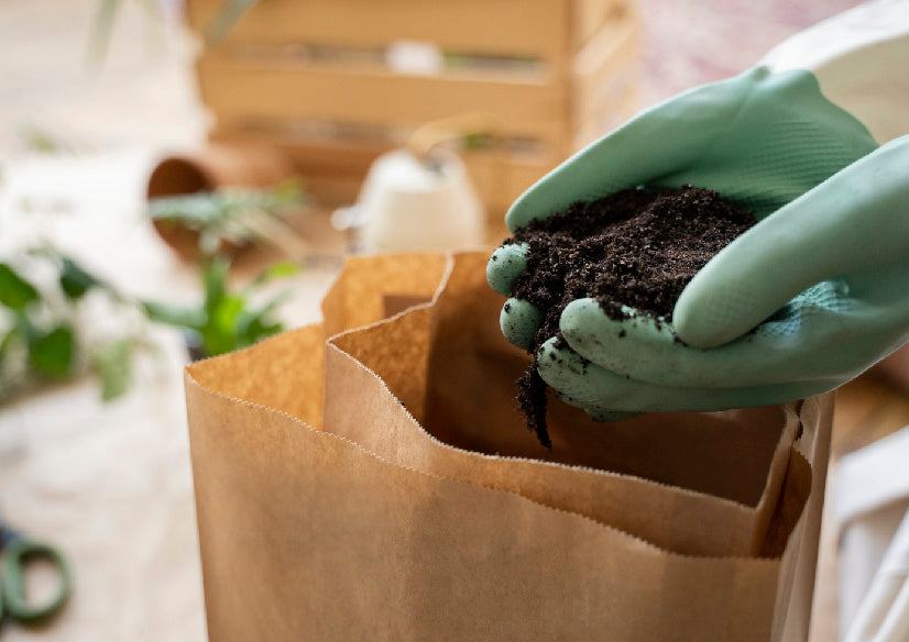 How Leading Companies Are Embracing Composting