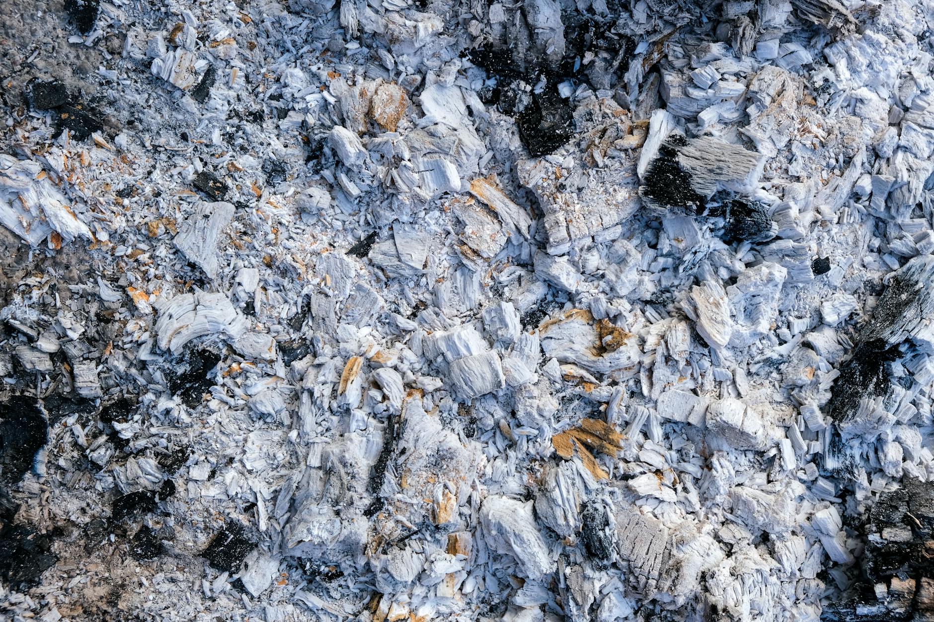 Can I Compost Wood Ash?