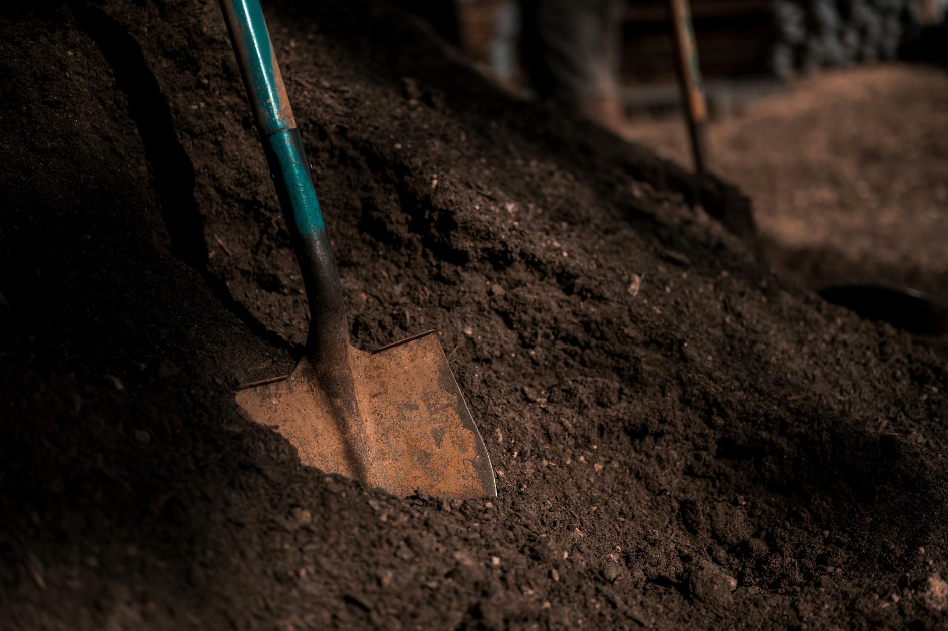 How to Use Reencle Compost Output: When It's Ready and How to Apply It