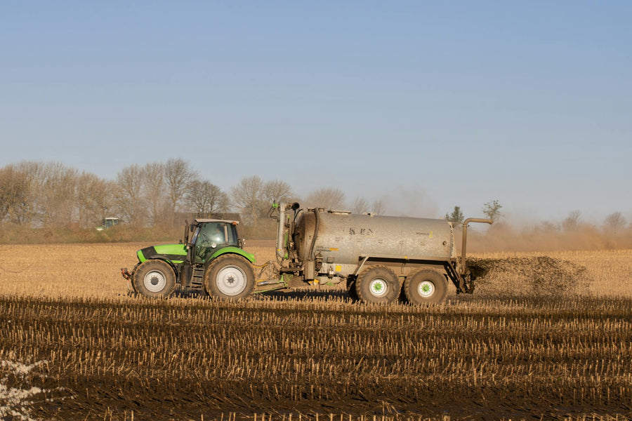 Best Green Manure Cover Crops for the Fall Garden: A Complete Planting Guide