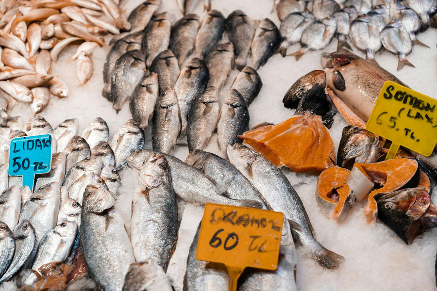 How Long Does Salmon Last in the Fridge? (Raw, Cooked & Smoked)