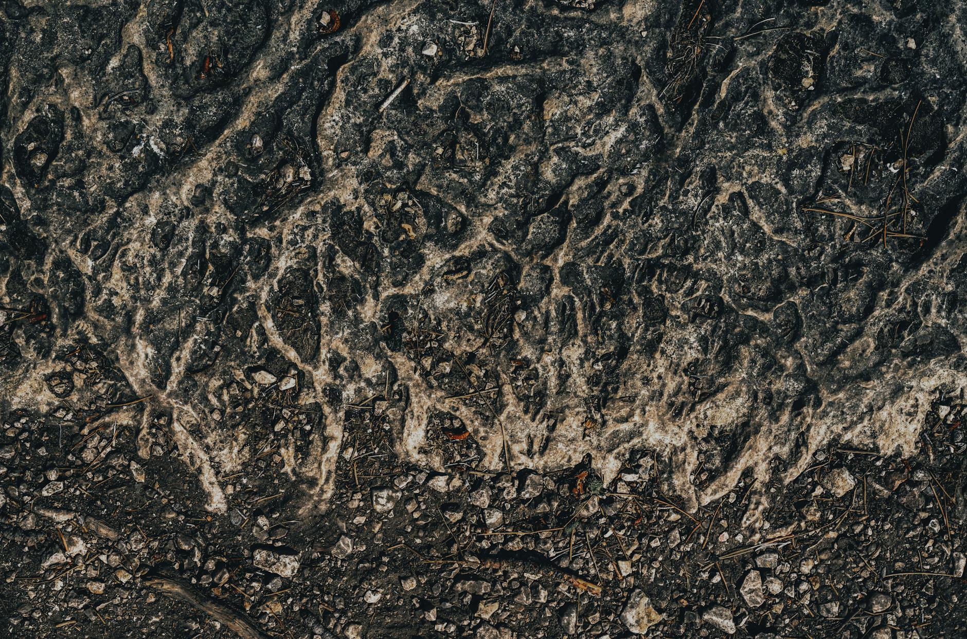 What Role Do Microorganisms Play in Composting? The Biology Explained Simply