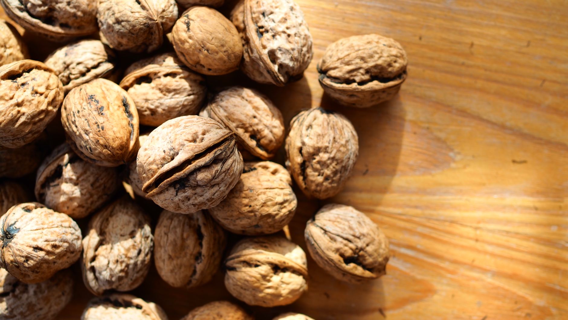 Can You Compost Nut Shells? (Walnut, Peanut, Almond)
