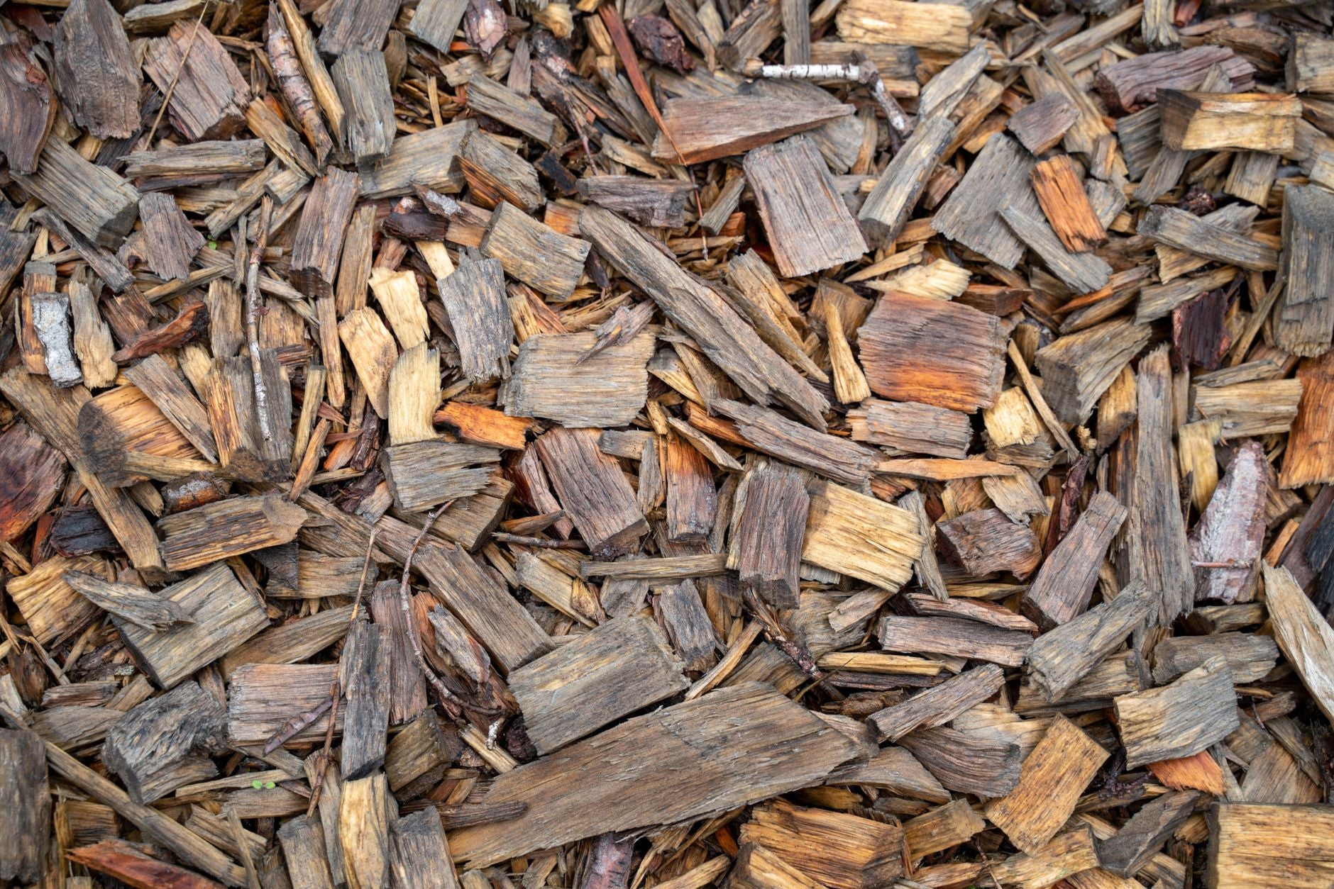 Reencle vs. Traditional Composting: Which Is Faster?