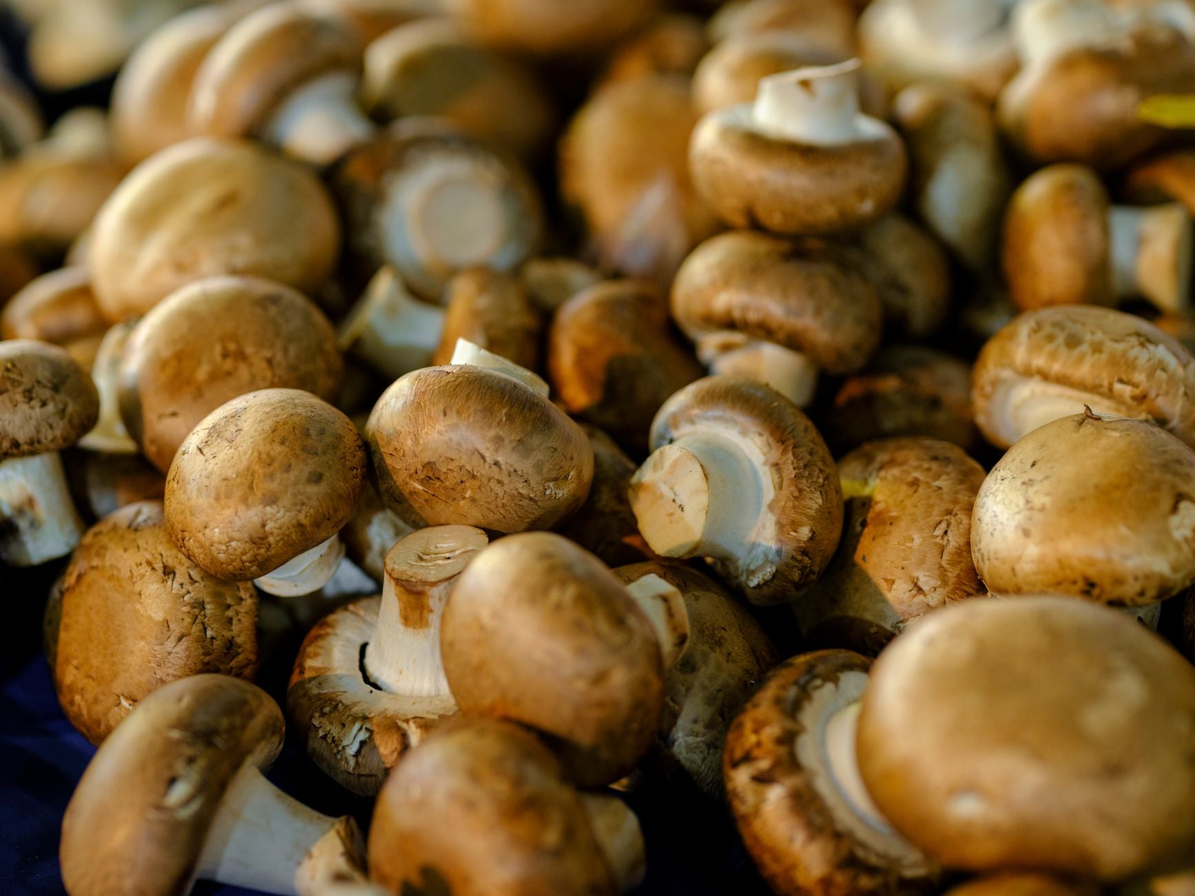 Can You Freeze Mushrooms? (Raw vs. Cooked — the Right Way)